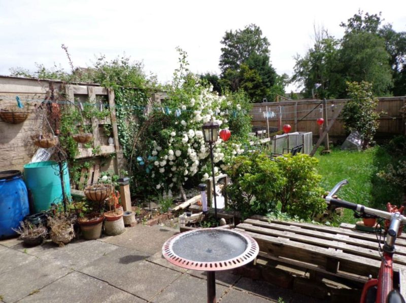 garden-800x598.jpg