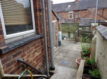 back-yard.jpg