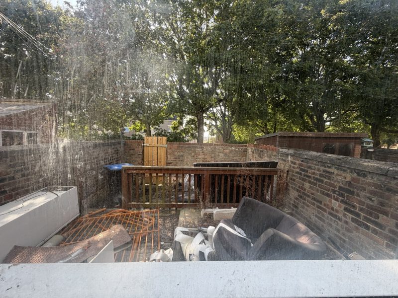 Yard-800x600.jpeg