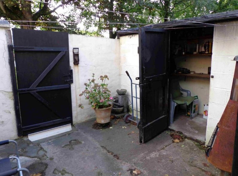 yard.jpg